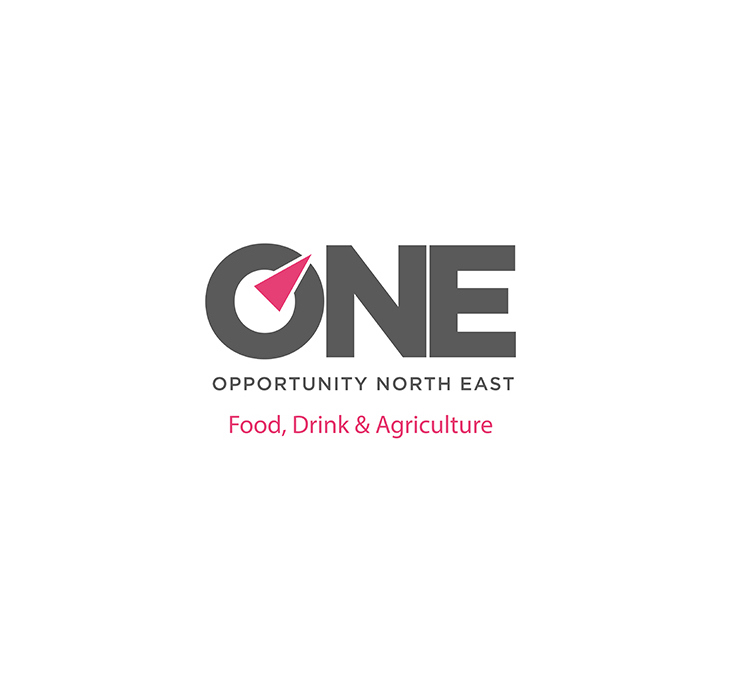 One Opportunity North East logo